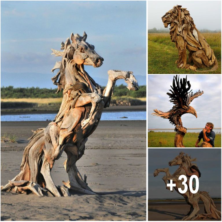 Beautiful Wood Sculptures Crafted From Pieces Found On The Beach