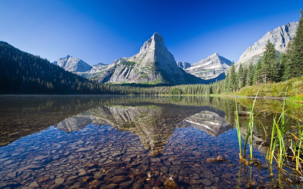 4569984 mountains, reflection, forest, landscape, lake, USA, trees, nature, Montana, grass, Glacier National Park, stones, snow - Rare Gallery HD Wallpapers