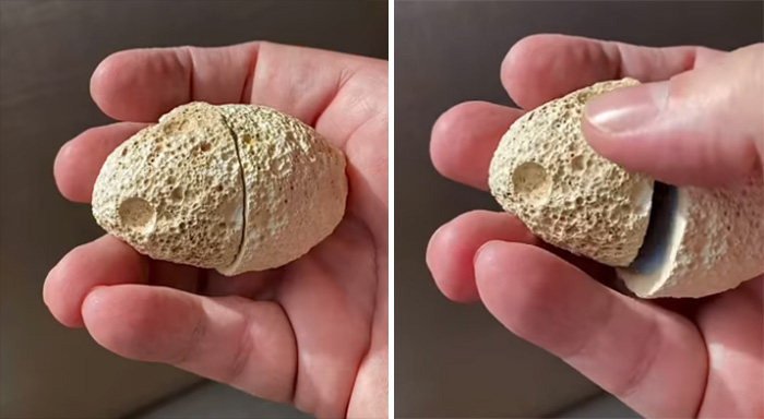 Geologist Finds Cookie Monster Inside Rock Formation