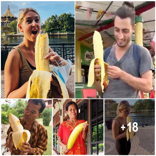 Discover the Astonishing Size of the World’s Biggest Banana, Surpassing ...