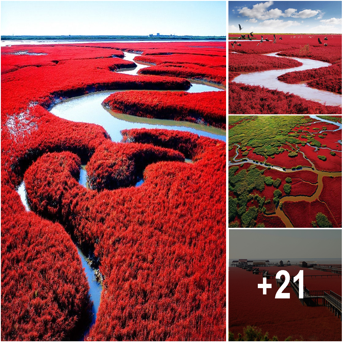 Discover the Enchanting Beauty of the Incredible Red Beach: Nature's 