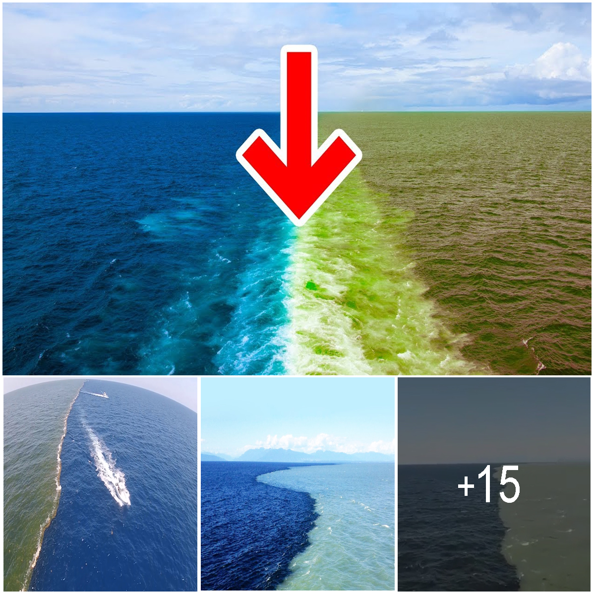 The Enigmatic Divide Why the Atlantic and Pacific Oceans Don't Mix