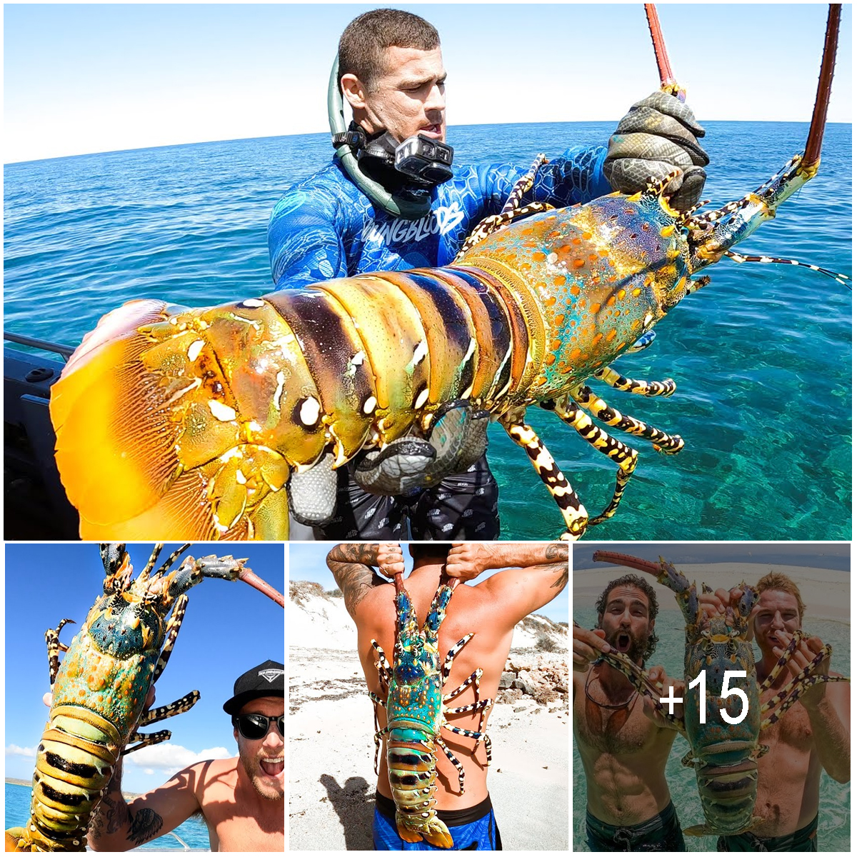 The Gigantic Marvel: Unveiling Unprecedentedly Large Lobsters - Amazing 