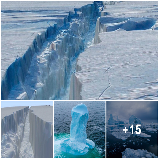 The world’s largest iceberg, weighing one trillion tons and measuring ...
