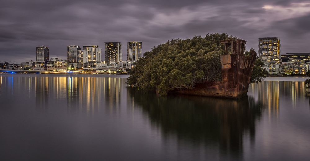 After Being Abandoned For 112 Years, The SS Ayrfield Ship Has Transformed Into A Floating Forest