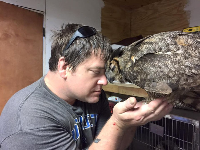 rescue owl hugs man gigi douglas pojeky 3