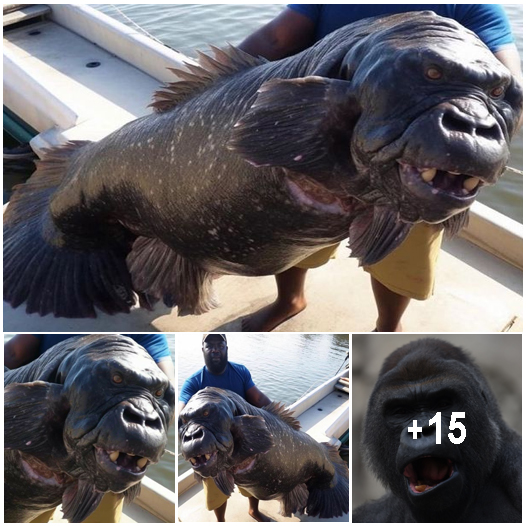 ‘Algerian gorilla fish’ with ape-like face that ‘feasts on whales’ debunked