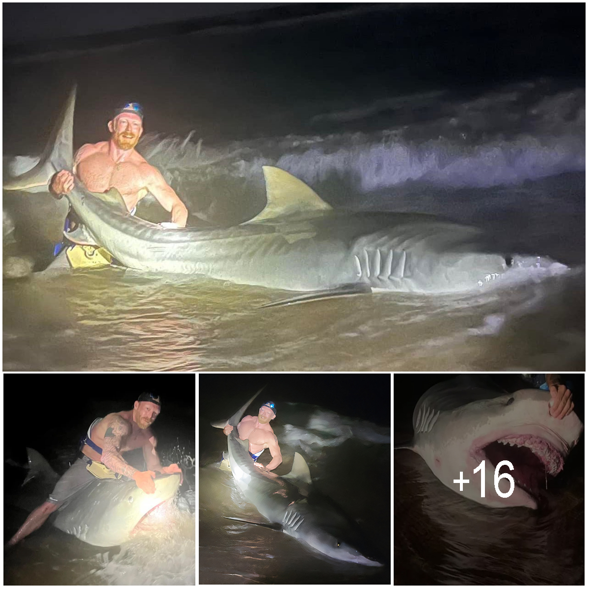 Dad wrestles 12ft monster tiger shark to shore on fishing trip with son ...