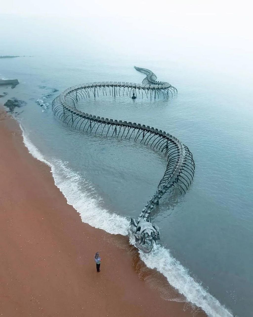 A Giant Twisting Serpent Skeleton Emerges from the Loire River in France