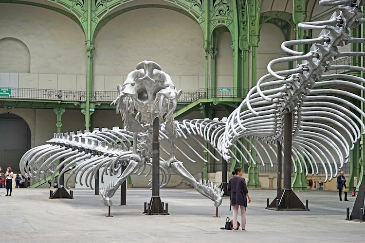 A Giant Twisting Serpent Skeleton Emerges from the Loire River in France