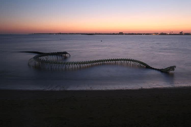 A Giant Twisting Serpent Skeleton Emerges from the Loire River in France