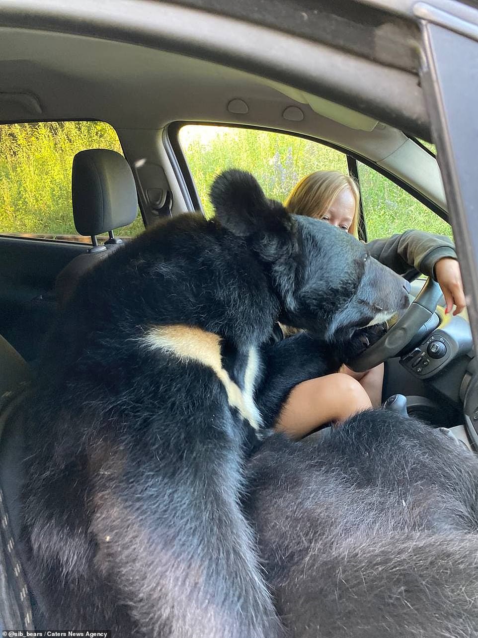 'He is an inquisitive bear and the main thing he was interested in was the steering wheel,' Dichka said of her travel buddy