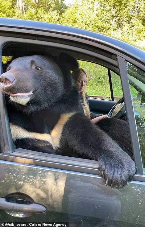 While cruising about, Toptyzhka enjoys looking out the window