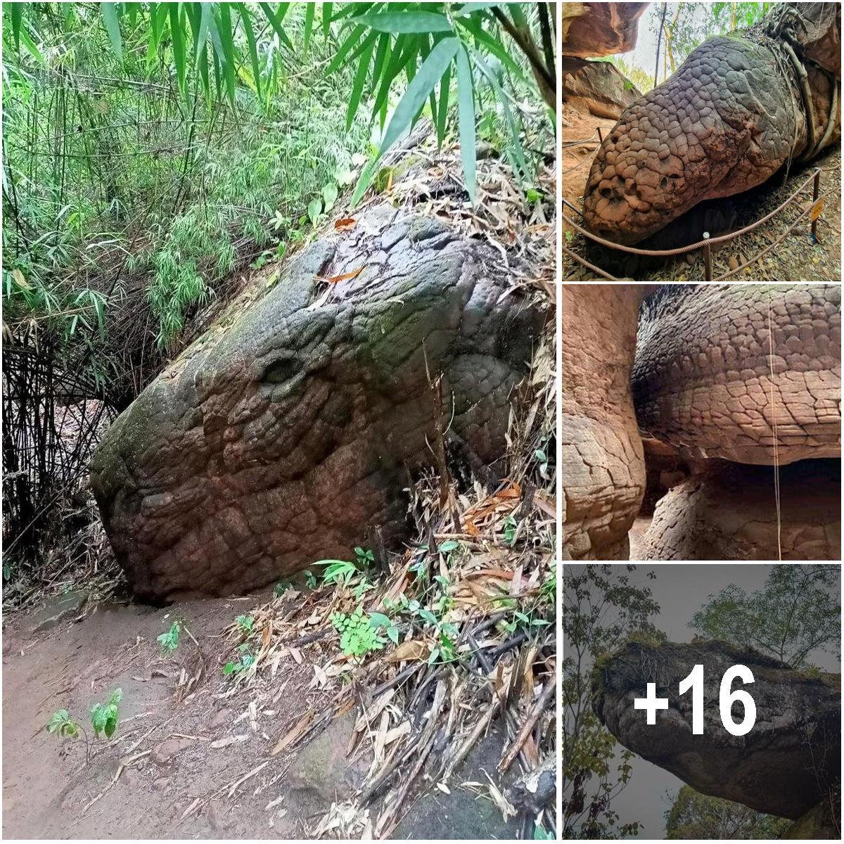 This Giant Snake Rock in Thailand Is a Fascination of Many — Is It an ...