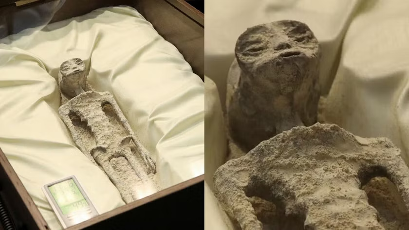 1,000-year-old fossils of 'alien' corpses displayed in Mexico's ...