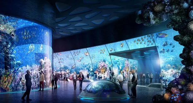 The Spaceship has a huge aquarium