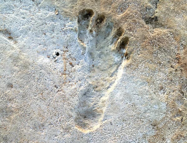 Ancient Footprints Suggest Humans Arrived In Americas During Ice Age - The New York Times