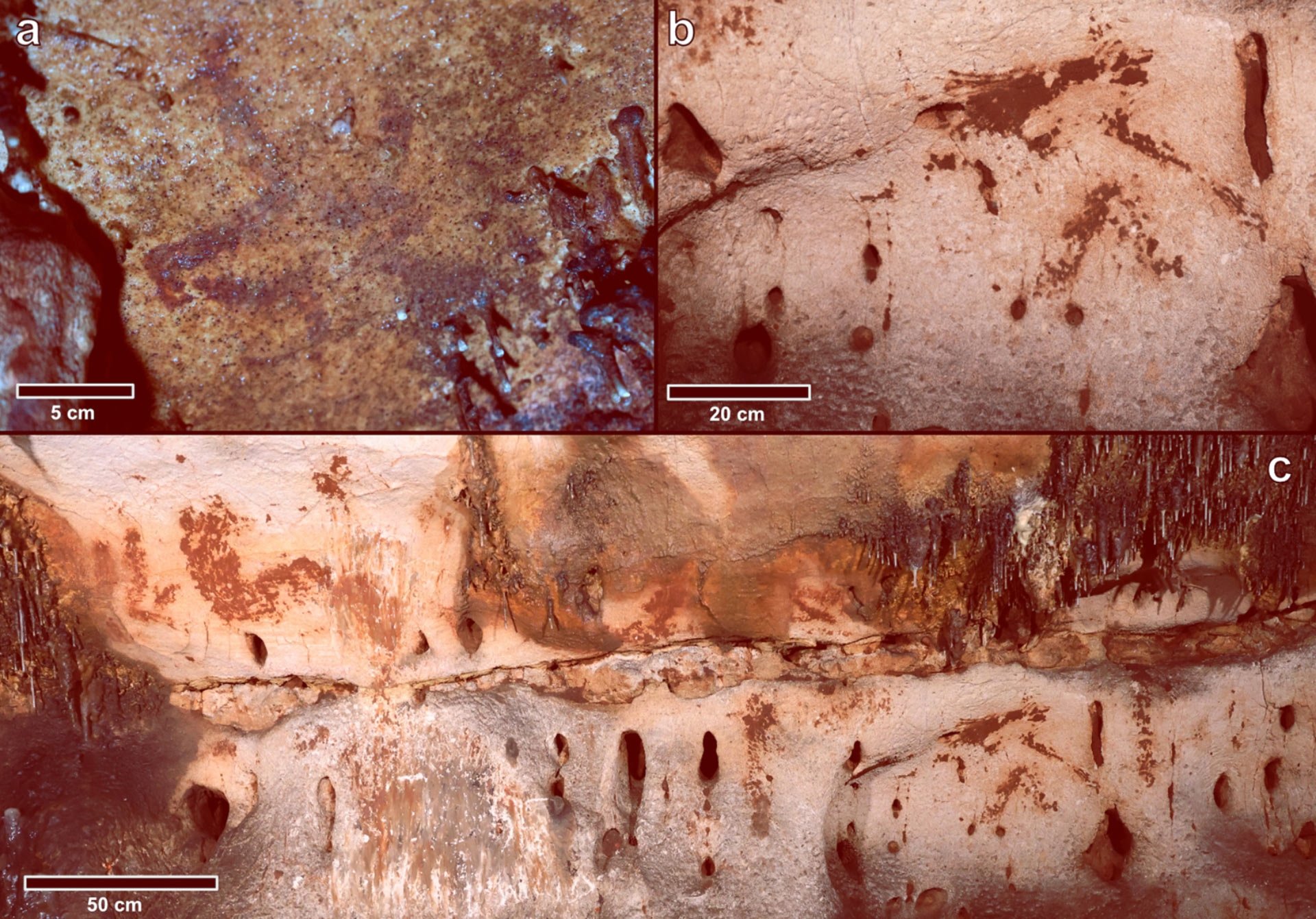 24,000-year-old cave art unearthed in Valencia's cave | Daily Sabah
