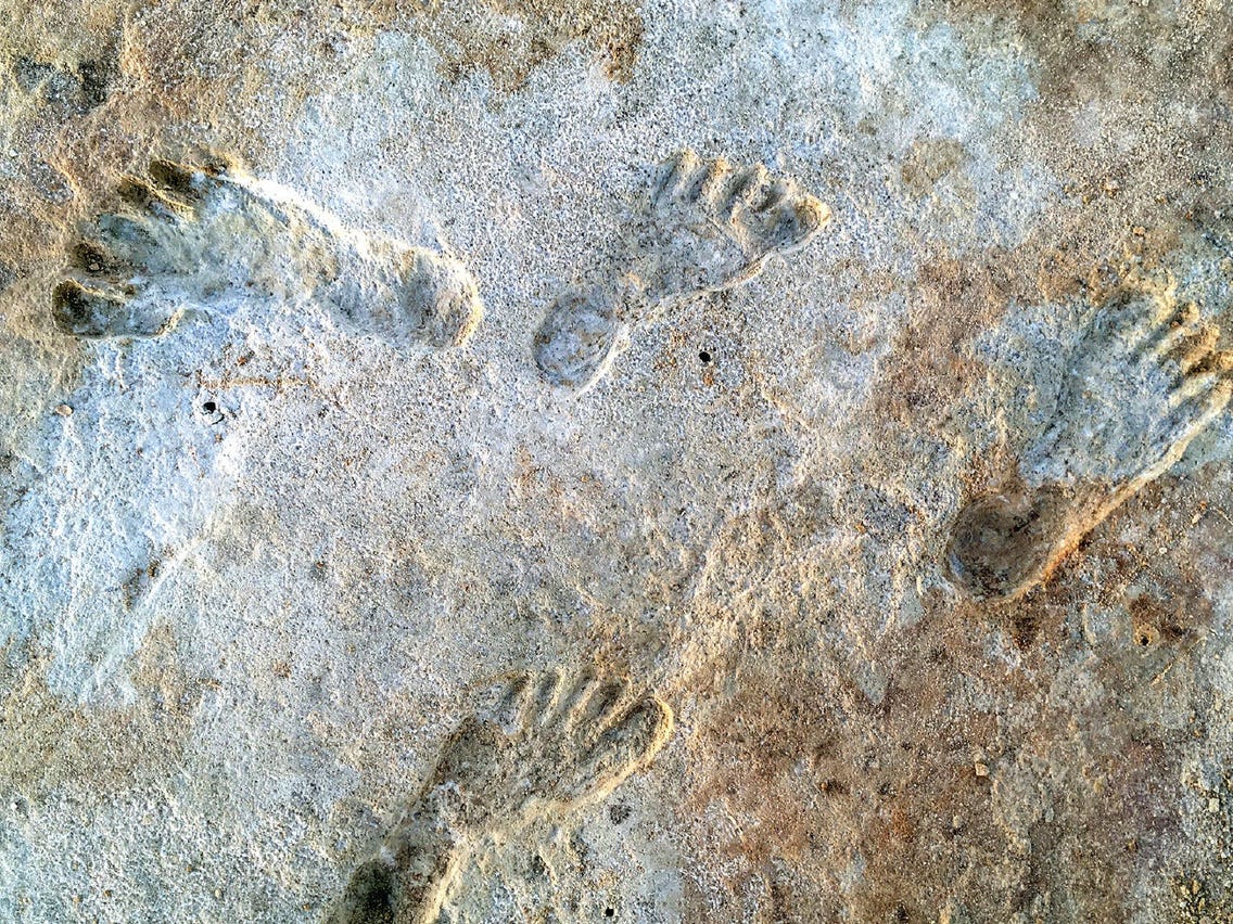 20,000-Year-Old Human Footprints in White Sands Dated With New Evidence