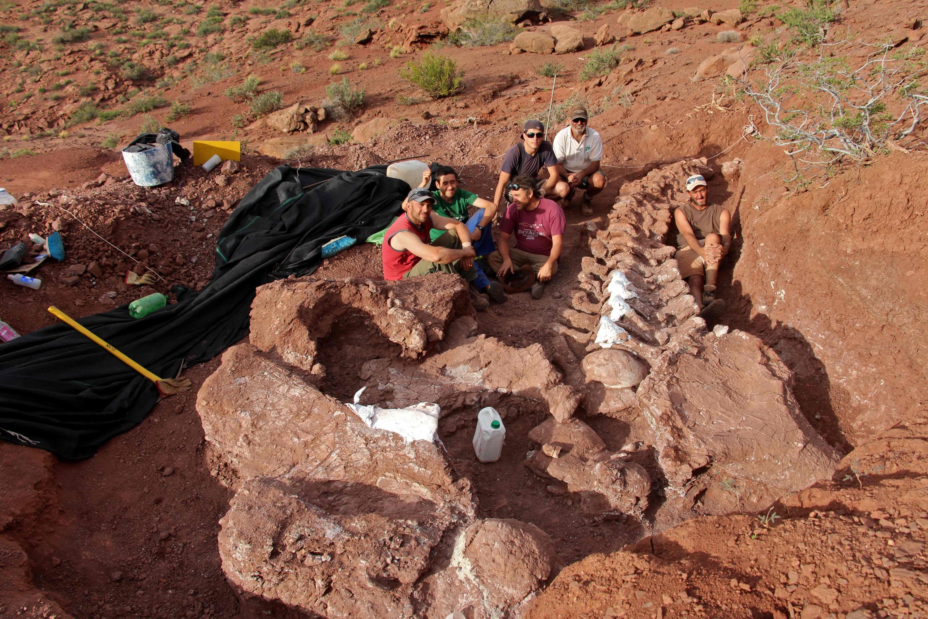 Dinosaur discovered in Argentina could be largest ever found | Daily Sabah