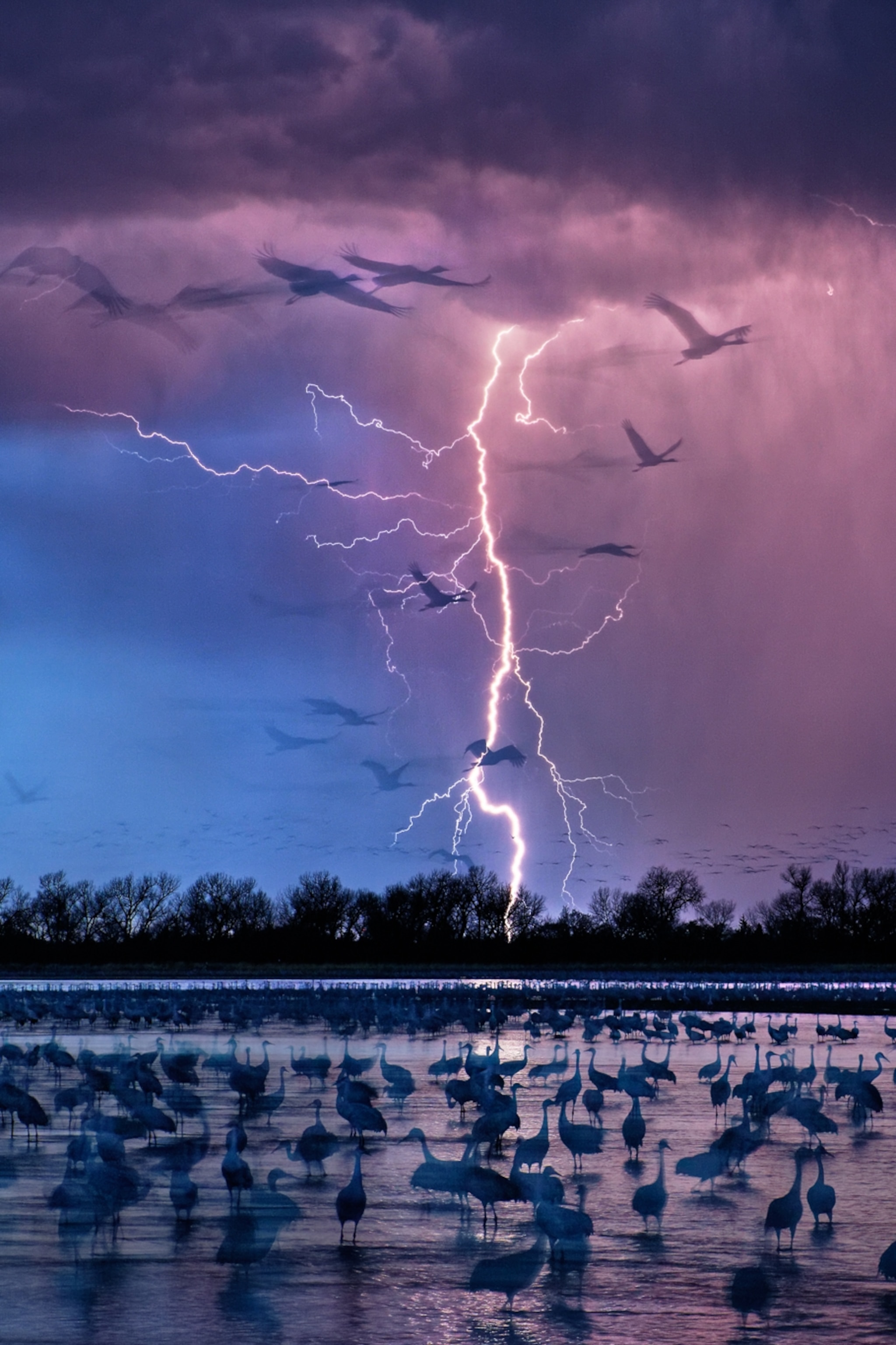 The science of 'superbolts,' the world's strongest lightning strikes