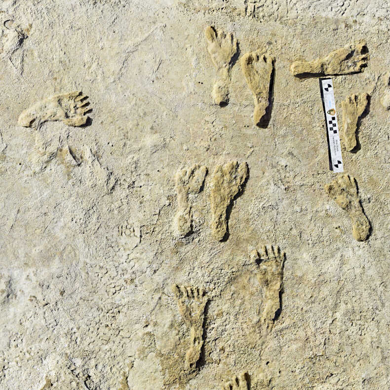 Ancient Footprints Show Humans Lived In The Americas Earlier Than Once Thought : NPR