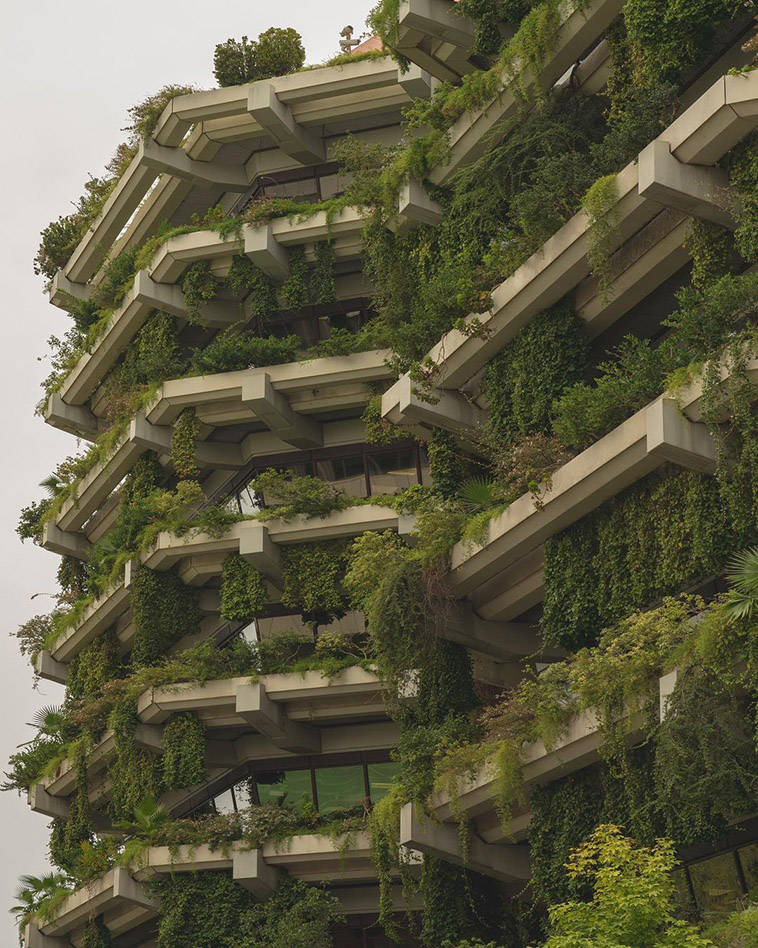 edificio planeta plants up close