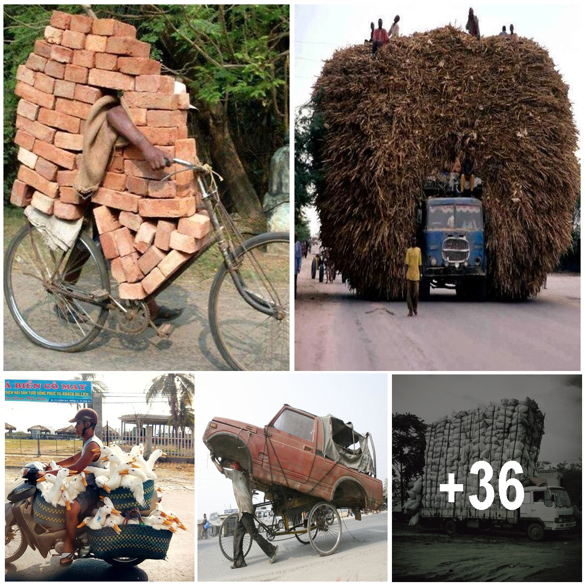 37 Of The Most Overloaded Vehicles Ever - Amazing Nature