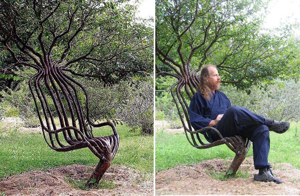 Artist Peter Cook grew a tree into a chair in 8 years by using shaping methods that constricted the direction of branch growth to make it grow in the shape he wanted. :